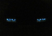 Ангельские глазки - технология изготовления - статья 2