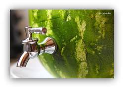 Бочонок для напитков из
арбуза  