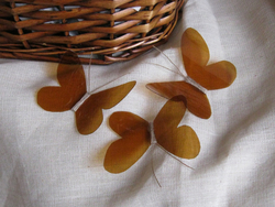 Бабочки из пластиковых бутылок