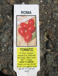 Горшок для Помидора