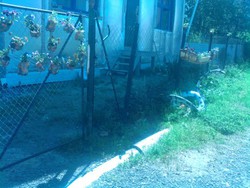 Подвесной палисадник из пластиковых  бутылок