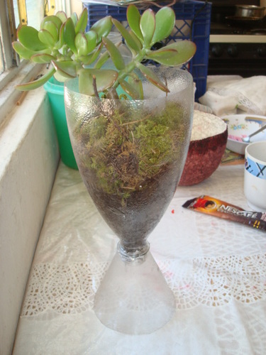 Кашпо для цветов и держатель для туалетной бумаги из пластиковых бутылок Кашпо для цветов и держатель для туалетной бумаги из пластиковых бутылок