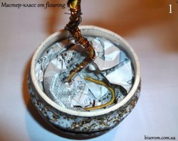 Посадим бисерное дерево в
горшок