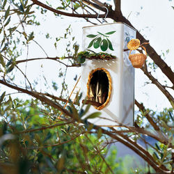 Находим применение консервным банкам