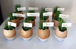 Идеи ёмкостей для рассады