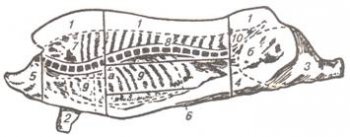 Домашний колбасный мини-завод