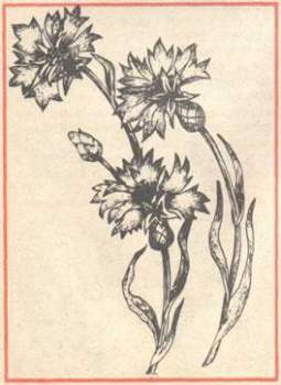 Технология изготовления искусственных цветов