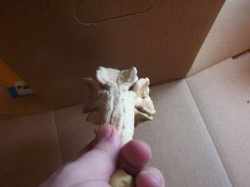 Гоблин из тыквы своими руками