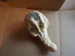 Гоблин из тыквы своими руками