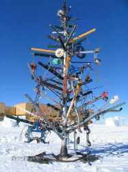 Чем заменить елку на новый год