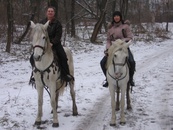 От работы кони дохнут или как заработать, да и лошадей сохранить и накормить