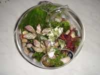 Сад в бутылке